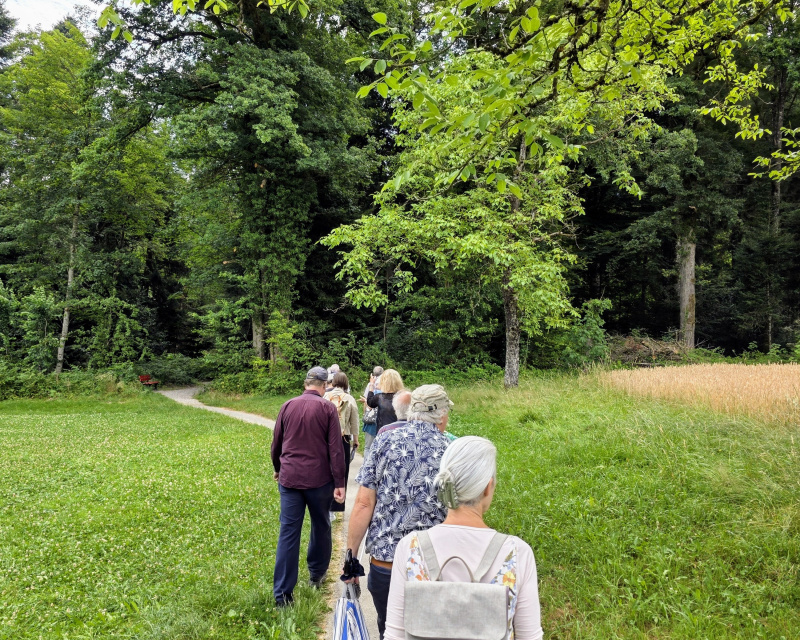 Best&auml;tigung: Waldspaziergang findet statt