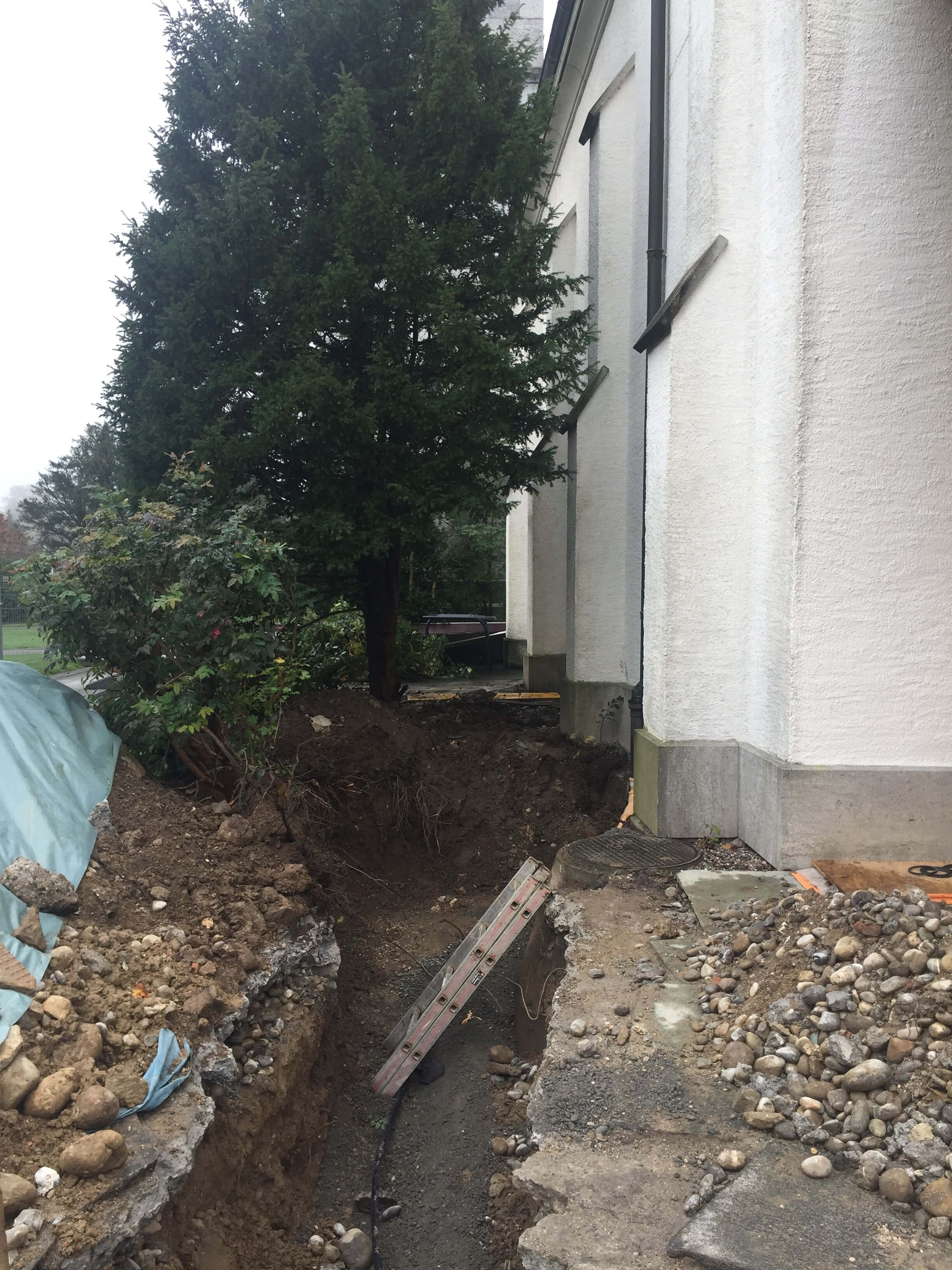  Bild 4 Lehmann HP 31 10 2019